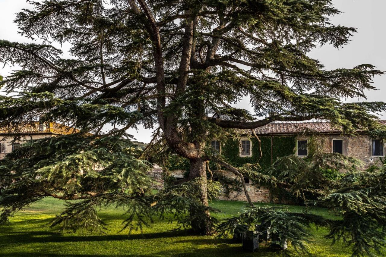 La Pescaia Resort Exteriér fotografie